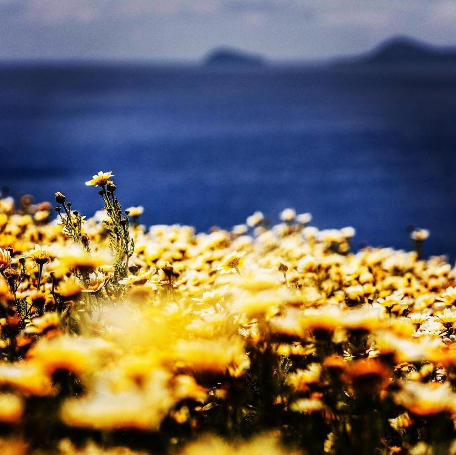 Arcana Santorini Villas, An Authentic Cycladic Experience Akrotiri  Bagian luar foto