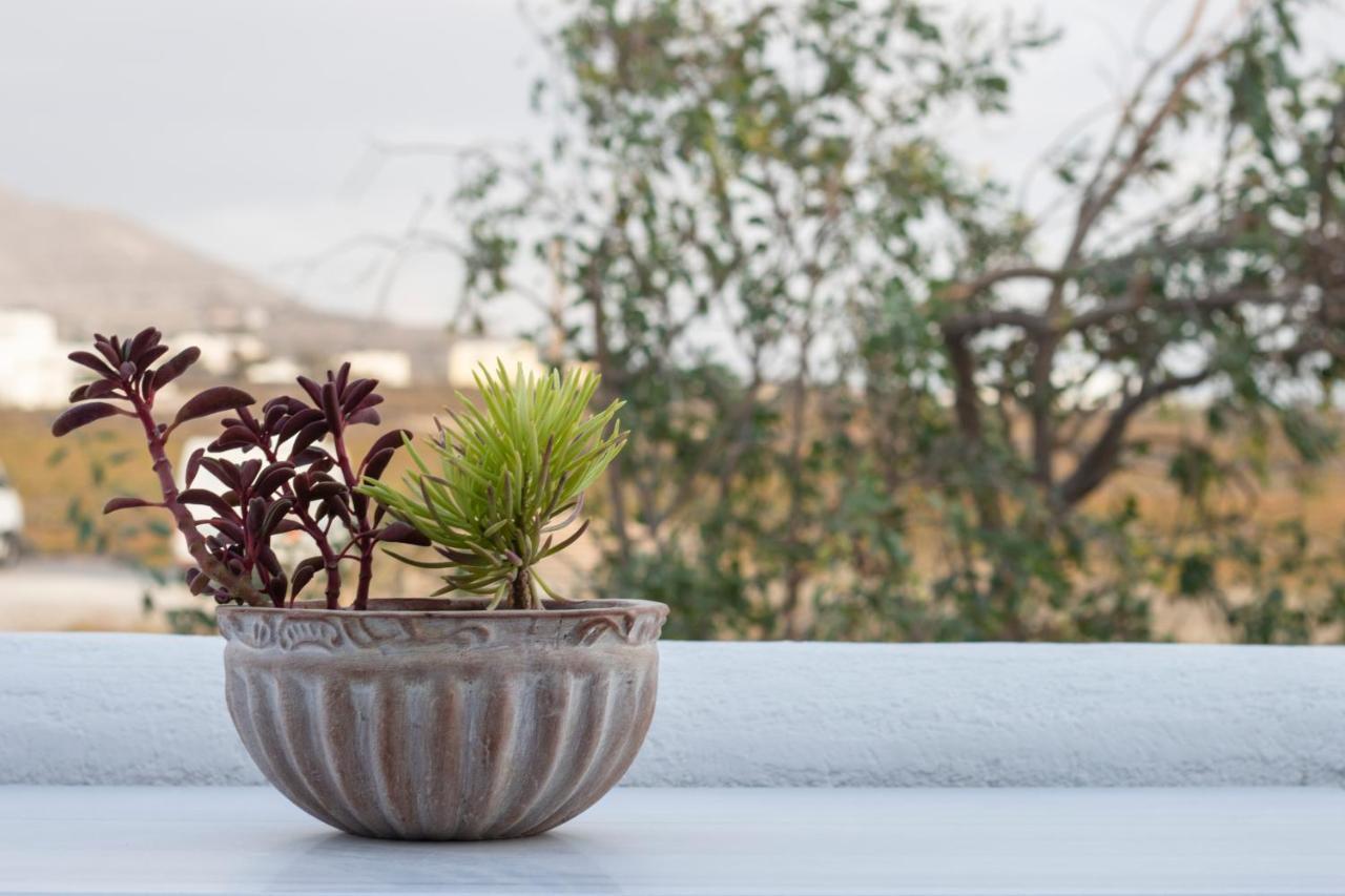 Arcana Santorini Villas, An Authentic Cycladic Experience Akrotiri  Bagian luar foto